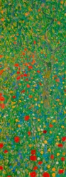 Champ de coquelicots